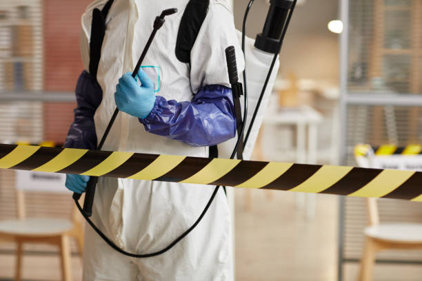 Professional Sewage Cleanup technician working in Marion, IA